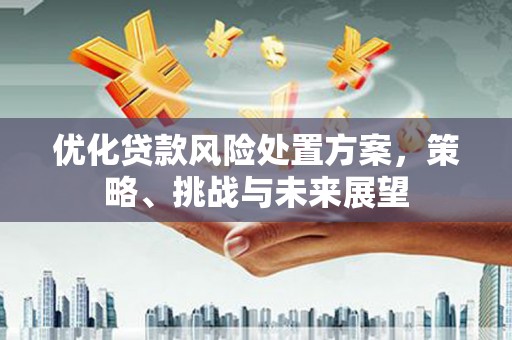 台湾优化贷款风险处置方案，策略、挑战与未来展望