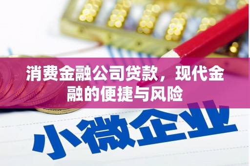 台湾消费金融公司贷款，现代金融的便捷与风险