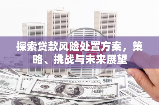台湾探索贷款风险处置方案，策略、挑战与未来展望