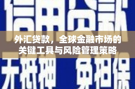 台湾外汇贷款，全球金融市场的关键工具与风险管理策略