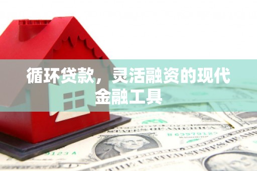 台湾循环贷款，灵活融资的现代金融工具