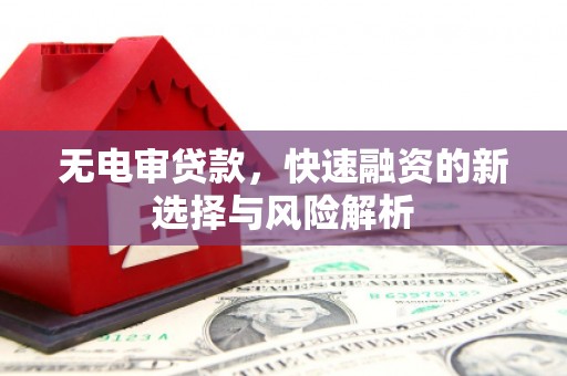 台湾无电审贷款，快速融资的新选择与风险解析