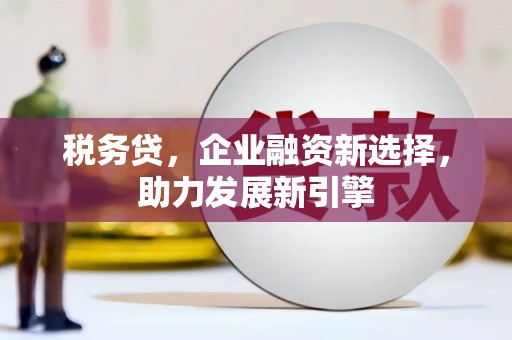 台湾税务贷，企业融资新选择，助力发展新引擎