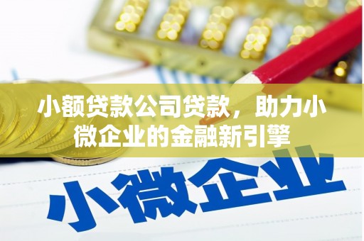 台湾小额贷款公司贷款，助力小微企业的金融新引擎