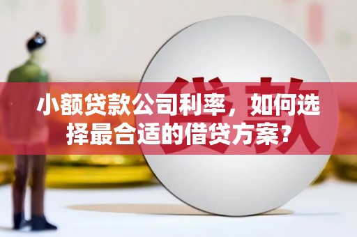台湾小额贷款公司利率，如何选择最合适的借贷方案？