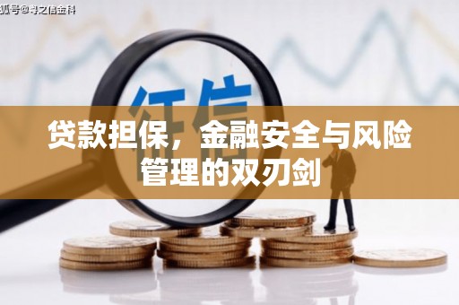 台湾贷款担保，金融安全与风险管理的双刃剑