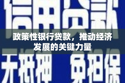 台湾政策性银行贷款，推动经济发展的关键力量