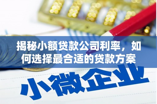 台湾揭秘小额贷款公司利率，如何选择最合适的贷款方案