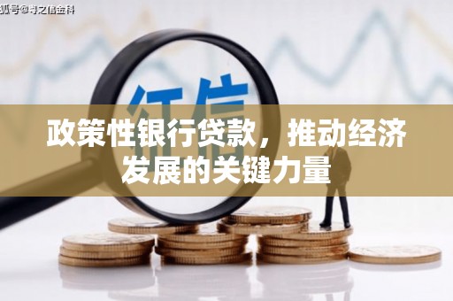 台湾政策性银行贷款，推动经济发展的关键力量
