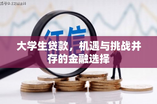 台湾大学生贷款，机遇与挑战并存的金融选择